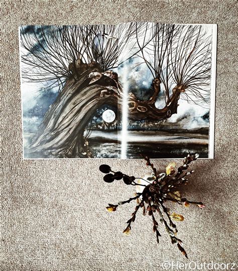 Pussy Willow Galore Heroutdoorz Garden Designer And Nature Writer