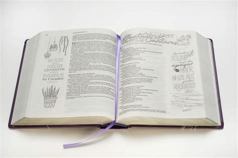 Biblia De Apuntes Inspira Ntv Tapa Dura Morada Peniel