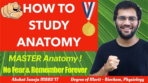 How To Study Anatomy Effectively In Mbbs 1st Year Medical School