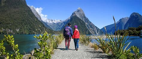 Ultimate New Zealand Travel Guide - Working Holiday Guide