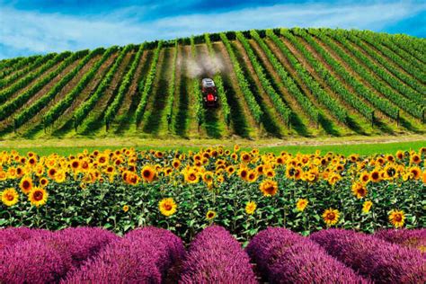 Tracteur De Lann E Les R Sultats Sont Farm Connexion