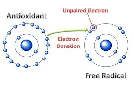 unpaired-electrons | ZestForever