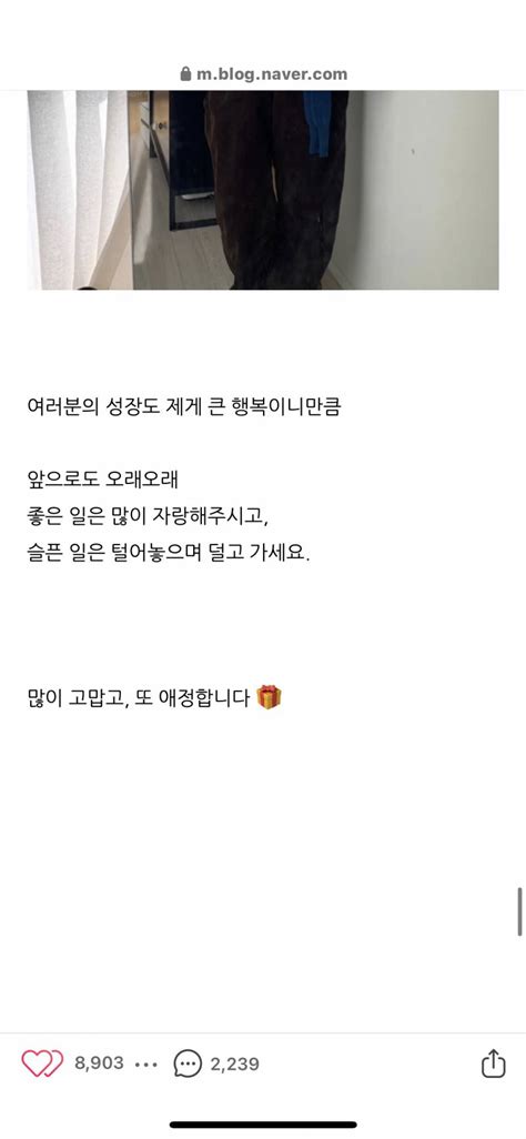 잡담 핱시 주미 웅니 말 너무 예쁘게 하지 않니 인스티즈instiz 일상 카테고리