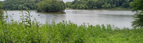 Lake Needwood Loop Via Gude West Side And Needwood Trails Maryland