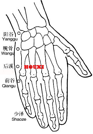 houxi  nomenclature location function indication acupuncture