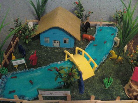 Maquete Meio Ambiente Simples - 6
