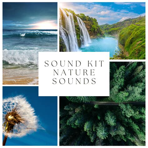 20 X 60 Minute Royalty-free Nature Sound Recordings | Meditation Sounds