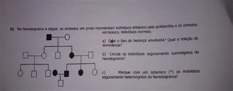 O Heredograma A Seguir Mostra O Aparecimento De Ame - O Heredograma A Seguir Mostra O Aparecimento De Ame - RETOEDU