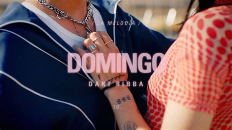 Dani Ribba Domingo Visualizer Youtube