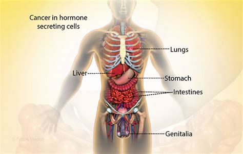 Health Condition : Symptoms, Causes, Treatment and More