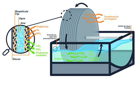 Biodiscos