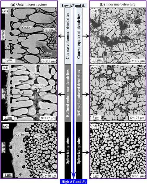 Typical microstructures of primary Co3Sn2 intermetallic compound in ...