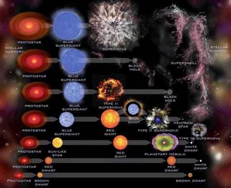 Life Cycle Of A Star Stages Facts And Diagrams Sexiz Pix