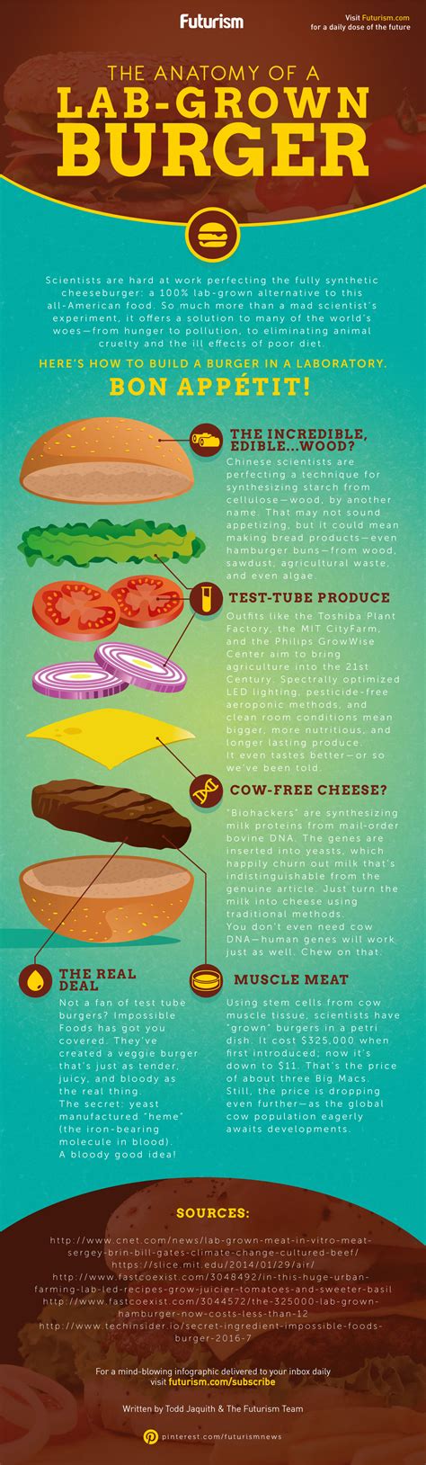The Anatomy of a Lab-Grown Burger [INFOGRAPHIC] | Incredible edibles