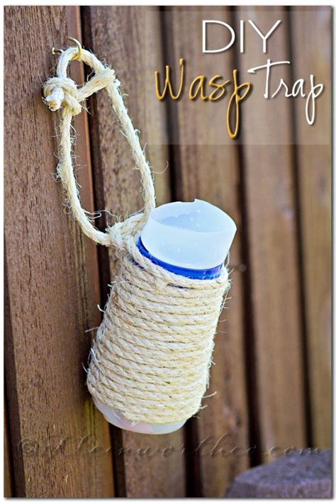 Wasp Control with DIY Wasp Trap - Yummi Haus