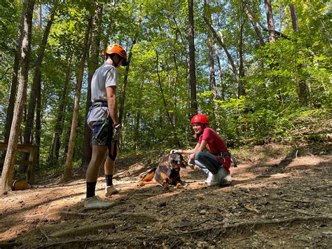 Carolina Ziplines 2025 All You Need To Know Before You Go W Reviews