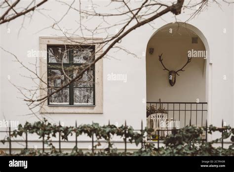 Hunting Trophy Of Deer Antlers Hanging On The Wall Of Terrace Of The