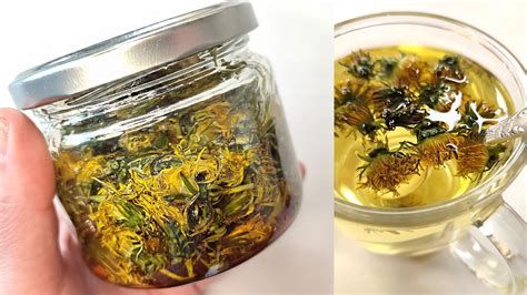 Мёд настоянный на одуванчиках. Чай из одуванчиков. Польза. Рецепт без ...