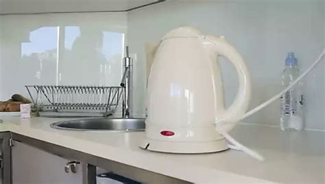 Free Accidental Pussy Porn Videos XHamster