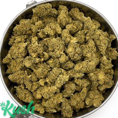 Alaskan Thunder Fuck Bulk Kush Station