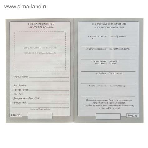 Кошачий паспорт - картинки и фото koshka.top