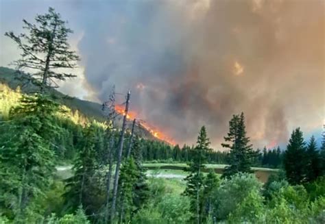 Update Two Wildfires Merge South Of Ashcroft Hundreds Evacuated Infonews Thompson Okanagan