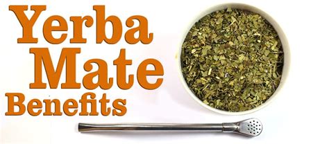 Yerba Mate Benefits | Here is the Answer | Tea-and-Coffee.com