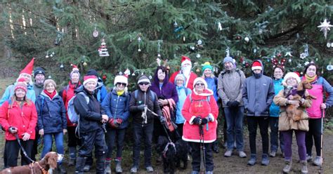 Langsett Tinsel Tree Walk Pre Booking With The Walk Leader Is