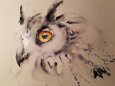 Owl Eyes Pencil Drawing