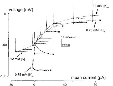 Figure 2 From Role Of Hyperpolarization Activated Currents For The