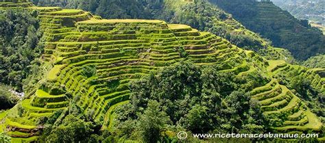 Larawan Ng Banaue Rice Terraces Hot Sex Picture