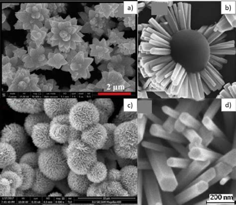 Sem Images For Zno Obtained By The Hydrothermal Method For Different