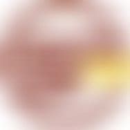 STRAIGHT FRATERNITY GAY PAY Clips Sale