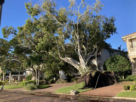 Unraveling the Stories of Beloved Neighbors in Union Sun and Journal 7