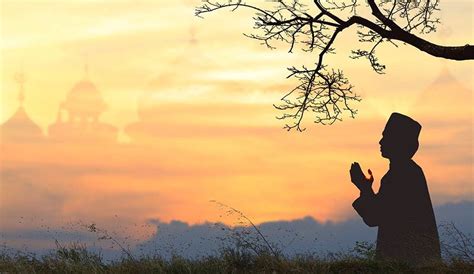 Devotional Dancing: The Whirling Dervishes