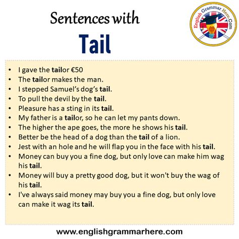 sentences  tail tail   sentence  english sentences  tail