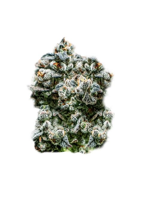 Super runtz strain popularity surges among cannabis connoisseurs 32