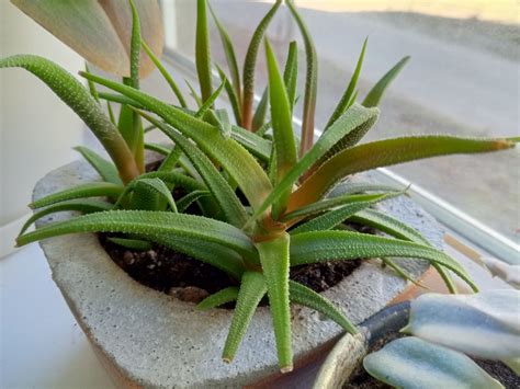 Обзор Infinix HOT действительно ли горячий Root Nation