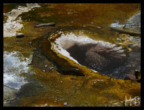 New Zealand - Rotorua - Traveling Rockhopper