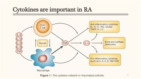 Development of anti tnf therapy for rheumatoid arthritis