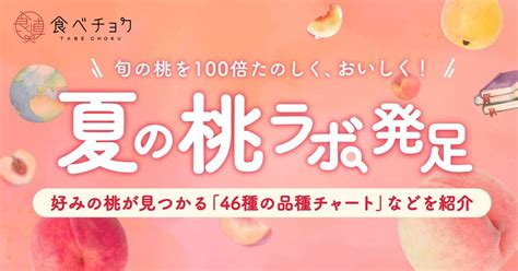 旬の桃が100倍美味しく楽しめる「夏の桃ラボ」発足！46種以上の桃の品種チャートや気候変動による桃の栽培状況の変化など、桃の魅力を最大限