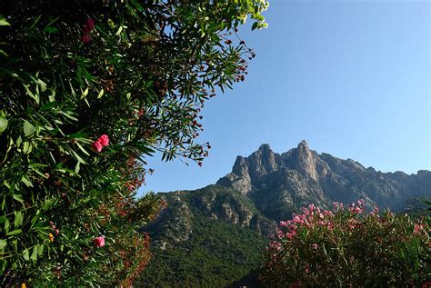 France Southern Corsica Calanques De License Image 70440795