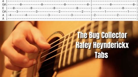 The Bug Collector - Haley Heyndrickx - Acoustic Guitar Tabs/Tutorial ...