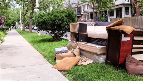 Lomtalanítás – Collectviridis