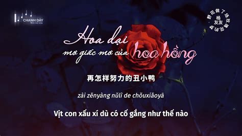 Vietsub Hoa D I M Gi C M C A Hoa H Ng D Ng H U H U Hot Douyin Youtube