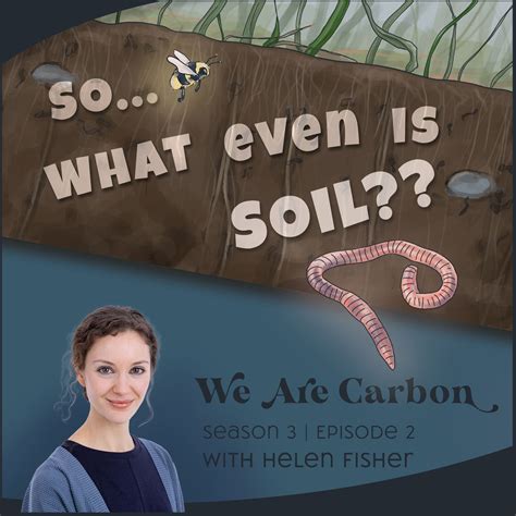Soil - My Common Sense Take, for a Path to Whole Systems Thinking - We ...