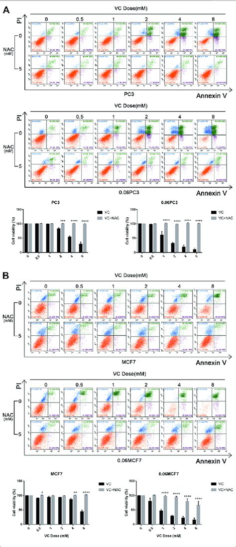 The Cytotoxicity Of Vc Reversed By Nac Cell Apoptosis Evaluated By