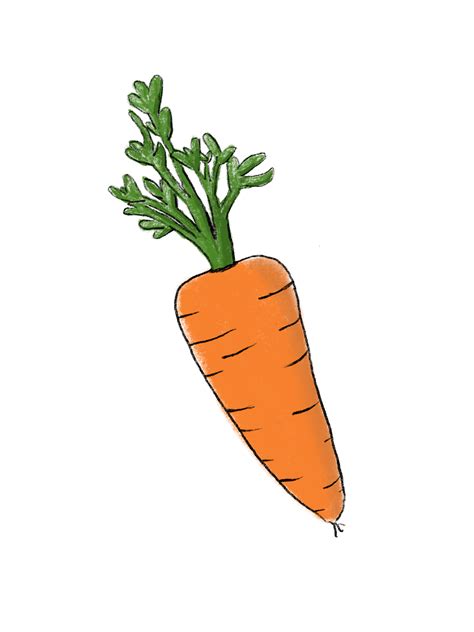 Drawing A Day Day 4 Carrot