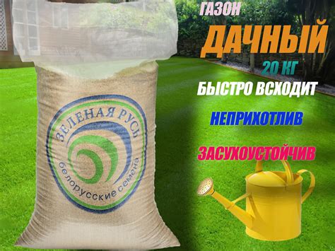 Семена газонной травы "Газон Дачный" (Травосмесь) 20 кг: продажа, цена ...