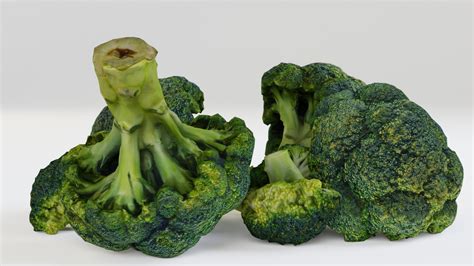 Broccoli 3d Model Turbosquid 1826547